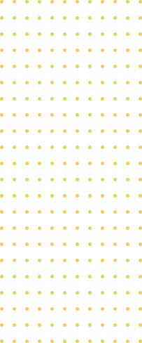 High Quality Plastic Pipes & Accessories